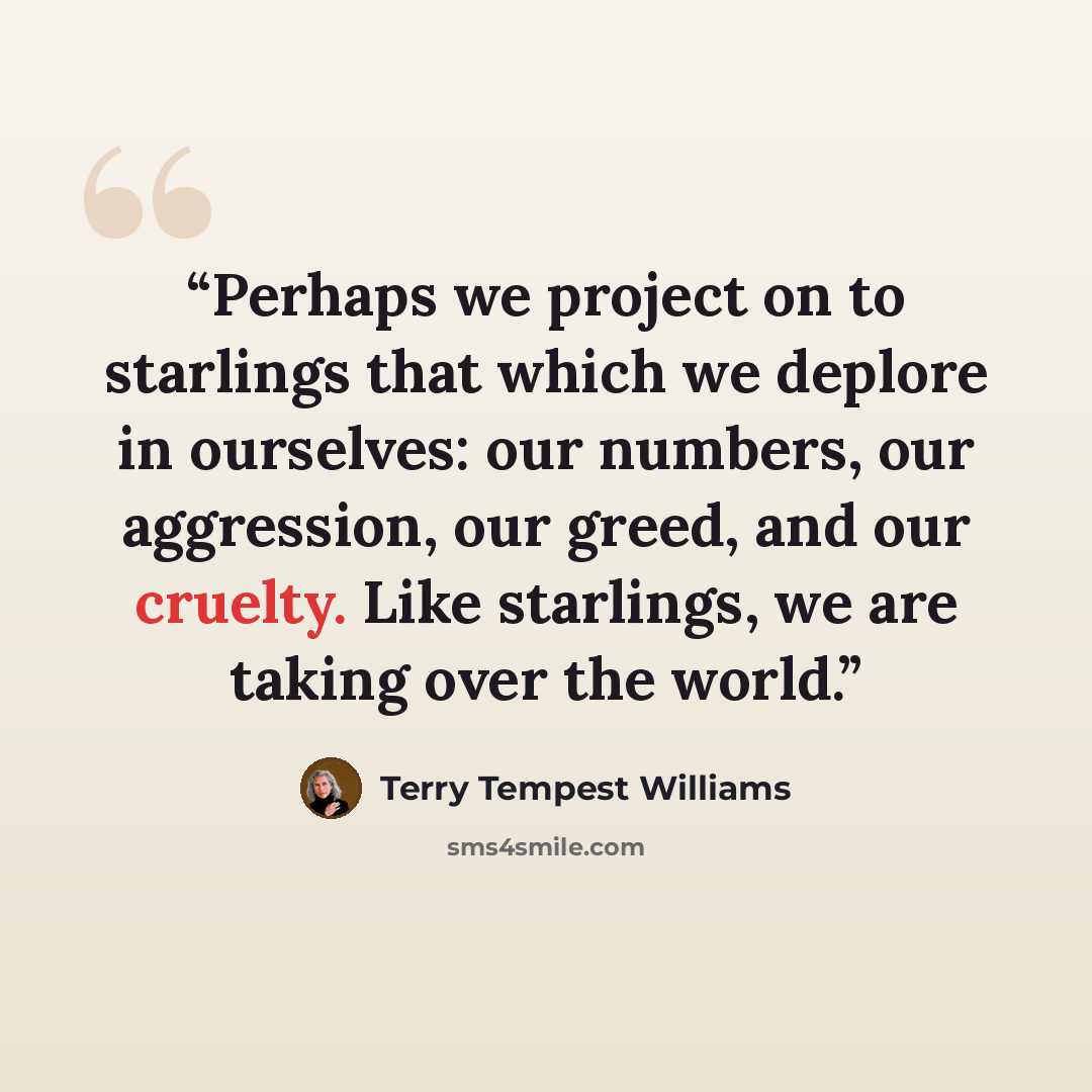 “Perhaps we project on to starlings that which we deplore in ourselves: our numbers, our aggression, our greed, and our cruelty. Like starlings, we are taking over the world.” quote by Terry Tempest Williams