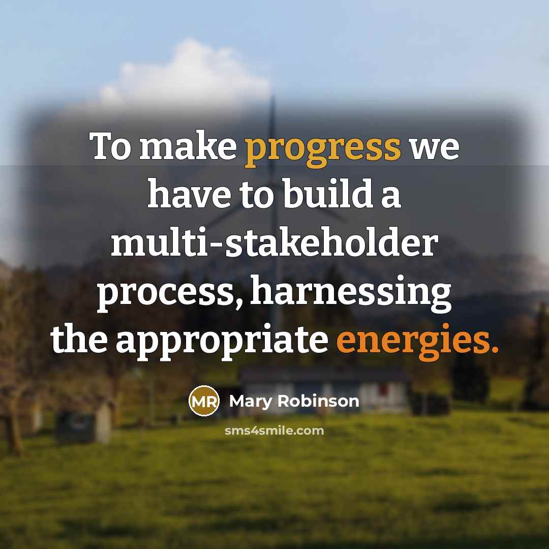 “To make progress we have to build a multi-stakeholder process, harnessing the appropriate energies.” quote by Mary Robinson
