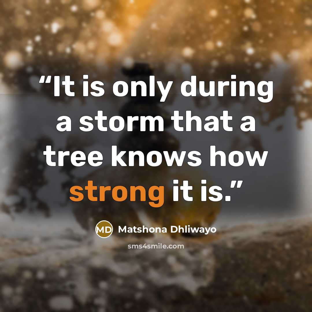 “It is only during a storm that a tree knows how strong it is.” quote by Matshona Dhliwayo