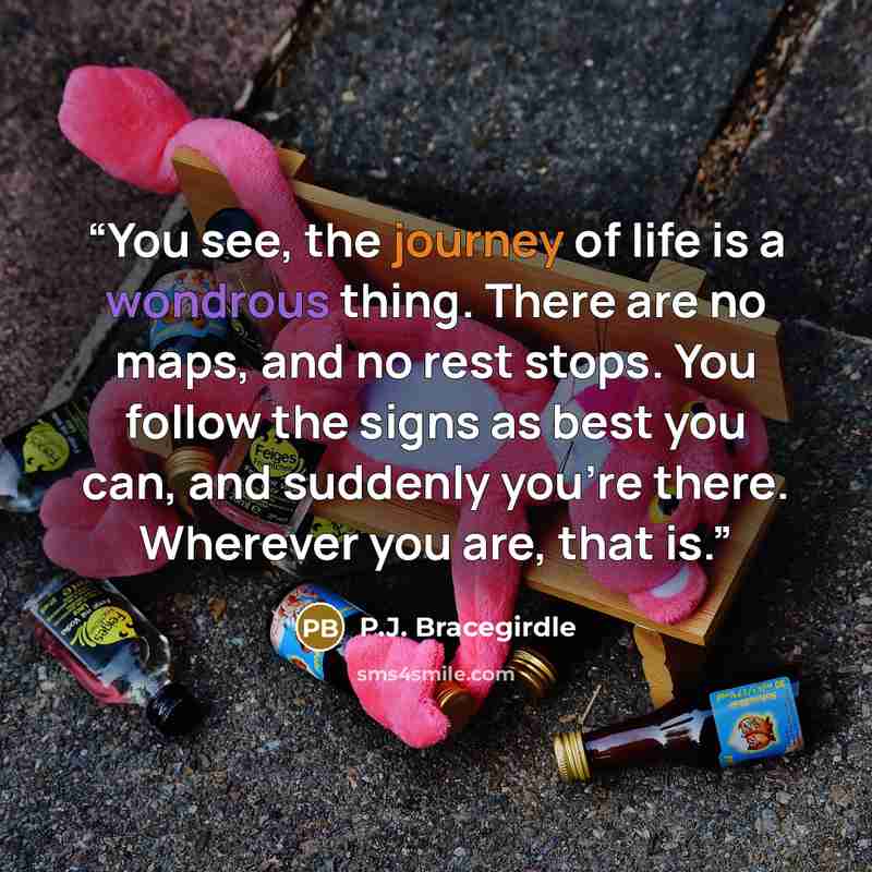 “You see, the journey of life is a wondrous thing. There are no maps, and no rest stops. You follow the signs as best you can, and suddenly you’re there. Wherever you are, that is.” quote by P.J. Bracegirdle