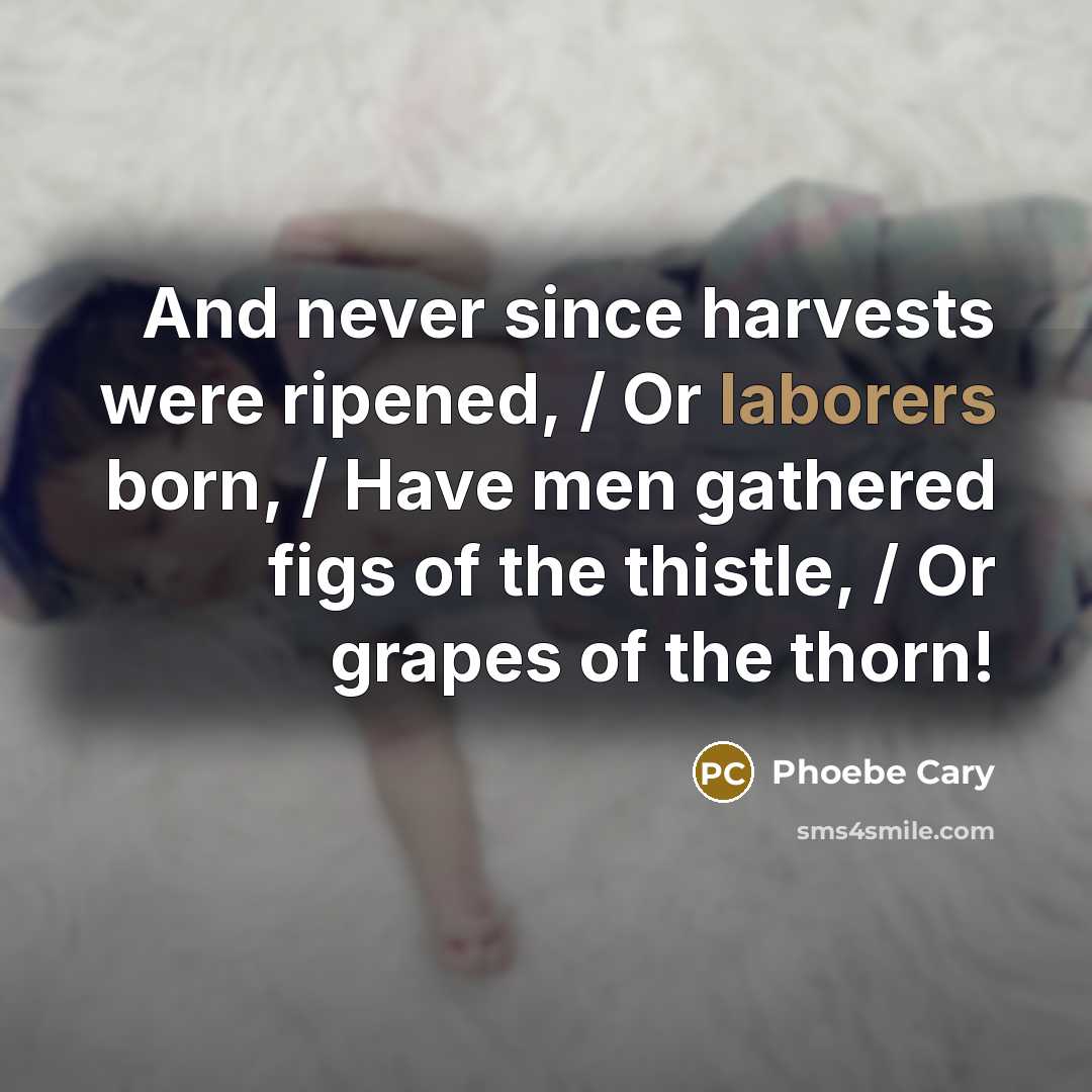 “And never since harvests were ripened, / Or laborers born, / Have men gathered figs of the thistle, / Or grapes of the thorn!” quote by Phoebe Cary