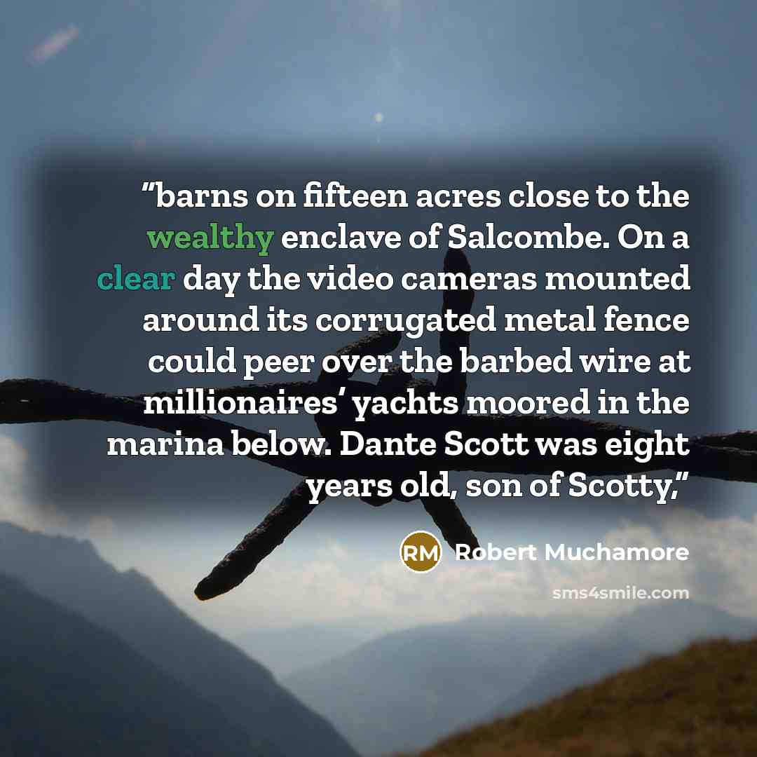“barns on fifteen acres close to the wealthy enclave of Salcombe. On a clear day the video cameras mounted around its corrugated metal fence could peer over the barbed wire at millionaires’ yachts moored in the marina below. Dante Scott was eight years old, son of Scotty,” quote by Robert Muchamore