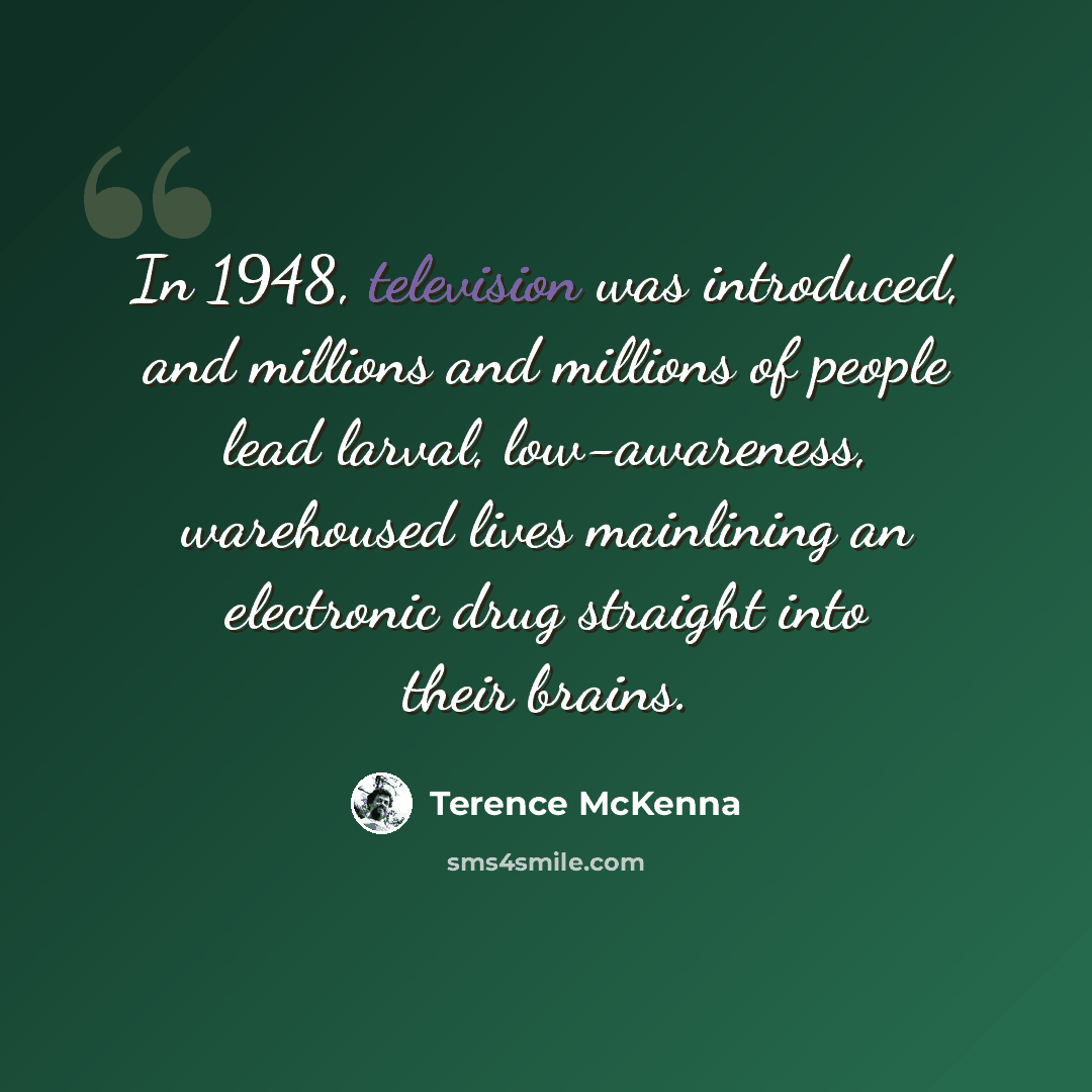 “In 1948, television was introduced, and millions and millions of people lead larval, low-awareness, warehoused lives mainlining an electronic drug straight into their brains.” quote by Terence McKenna