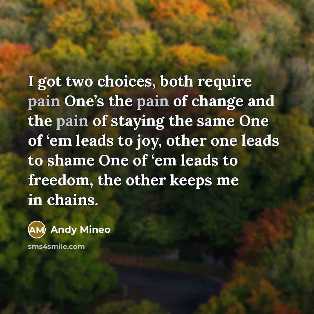 “I got two choices, both require pain One’s the pain of change and the pain of staying the same One of ‘em leads to joy, other one leads to shame One of ‘em leads to freedom, the other keeps me in chains.” quote by Andy Mineo