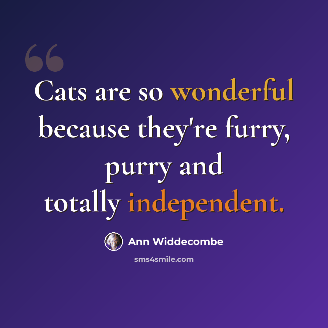 “Cats are so wonderful because they're furry, purry and totally independent.” quote by Ann Widdecombe