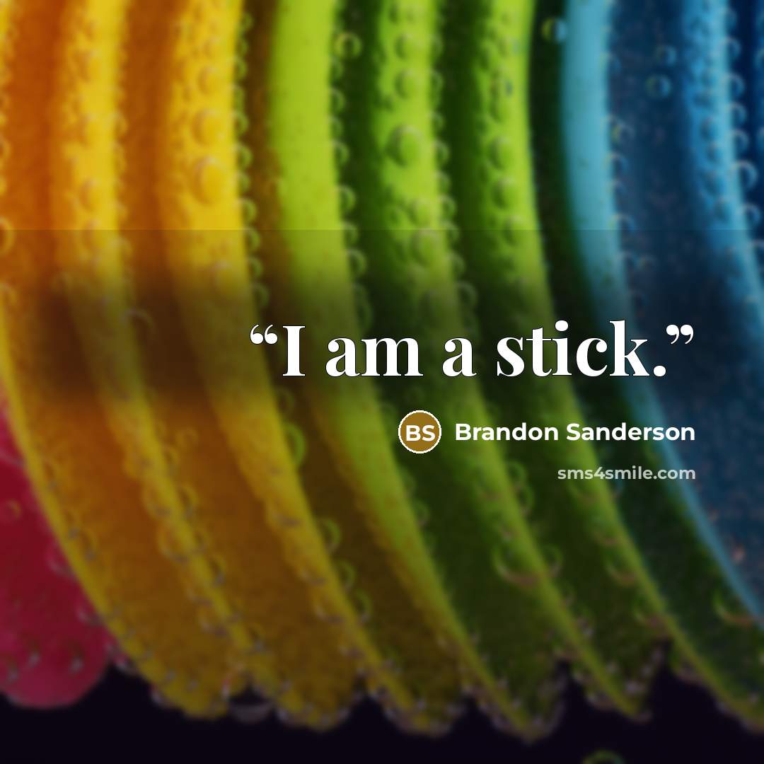 “I am a stick.” quote by Brandon Sanderson