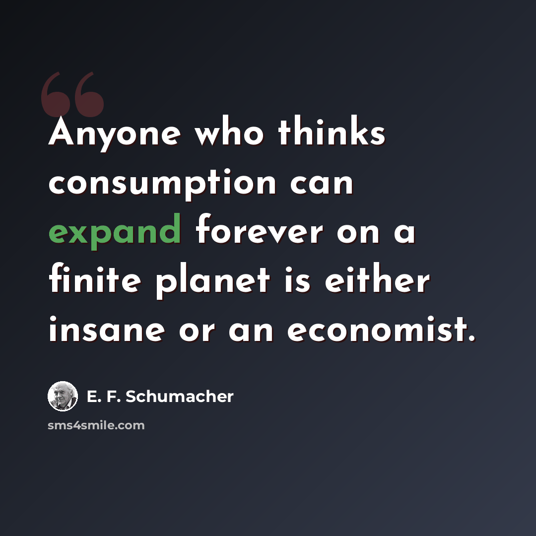 “Anyone who thinks consumption can expand forever on a finite planet is either insane or an economist.” quote by E. F. Schumacher