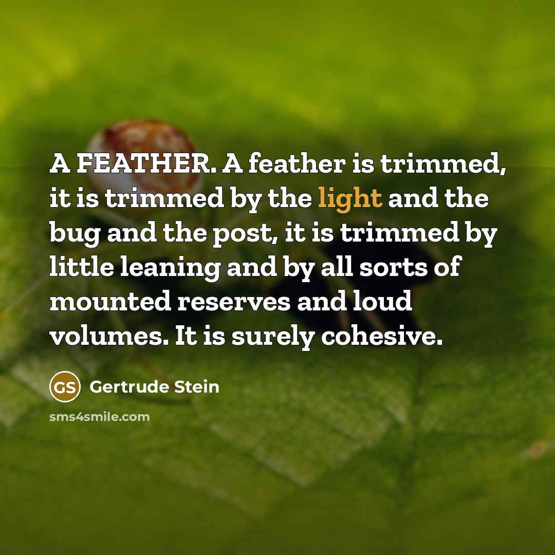“A FEATHER. A feather is trimmed, it is trimmed by the light and the bug and the post, it is trimmed by little leaning and by all sorts of mounted reserves and loud volumes. It is surely cohesive.” quote by Gertrude Stein