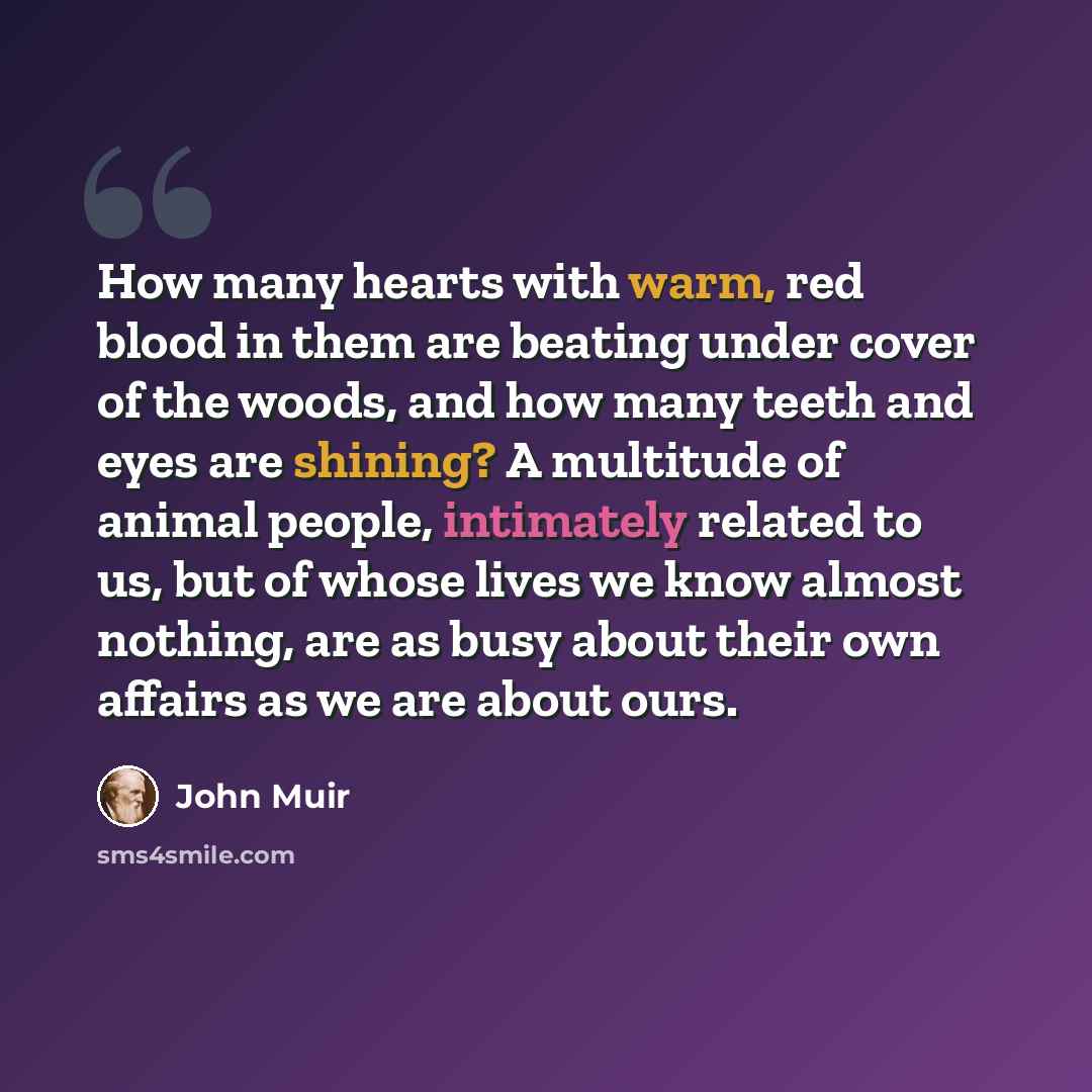 “How many hearts with warm, red blood in them are beating under cover of the woods, and how many teeth and eyes are shining? A multitude of animal people, intimately related to us, but of whose lives we know almost nothing, are as busy about their own affairs as we are about ours.” quote by John Muir