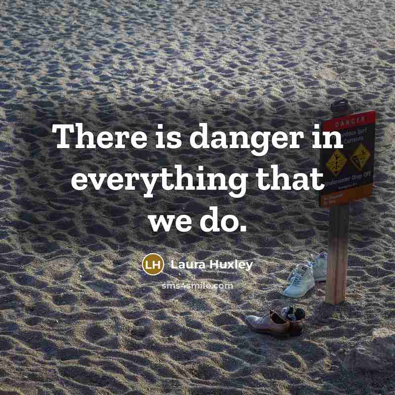 “There is danger in everything that we do.” quote by Laura Huxley