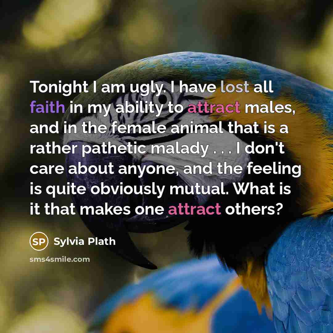 “Tonight I am ugly. I have lost all faith in my ability to attract males, and in the female animal that is a rather pathetic malady . . . I don't care about anyone, and the feeling is quite obviously mutual. What is it that makes one attract others?” quote by Sylvia Plath