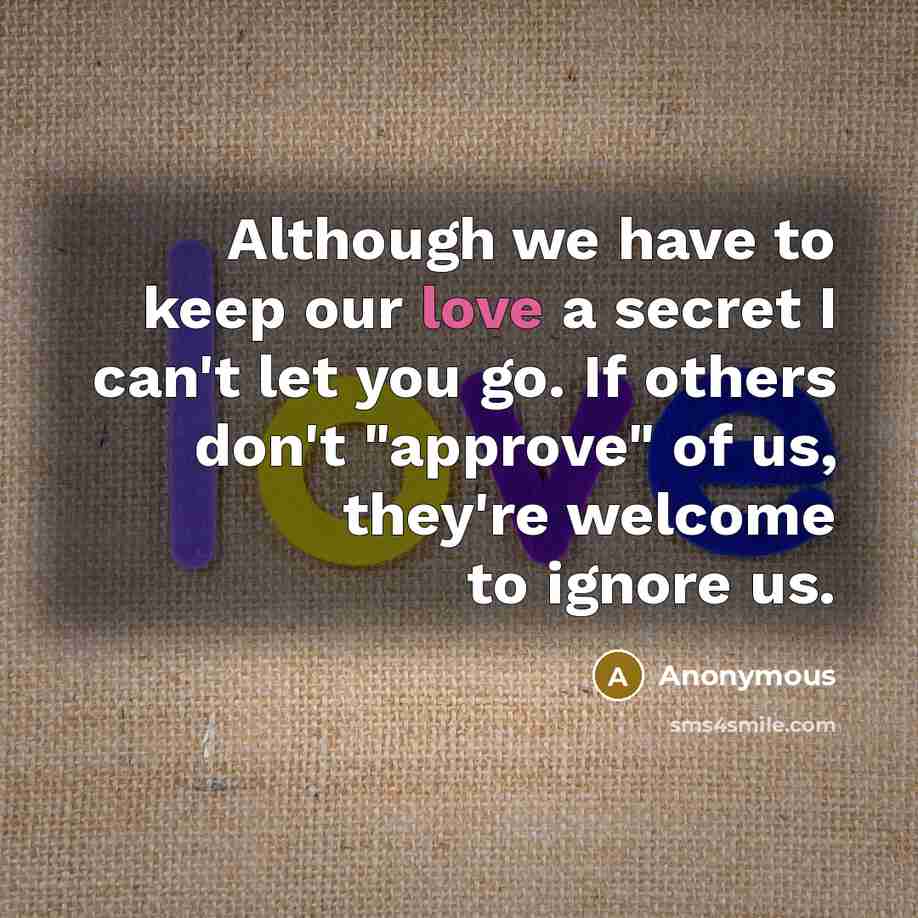 “Although we have to keep our love a secret I can't let you go. If others don't "approve" of us, they're welcome to ignore us.” quote by Anonymous