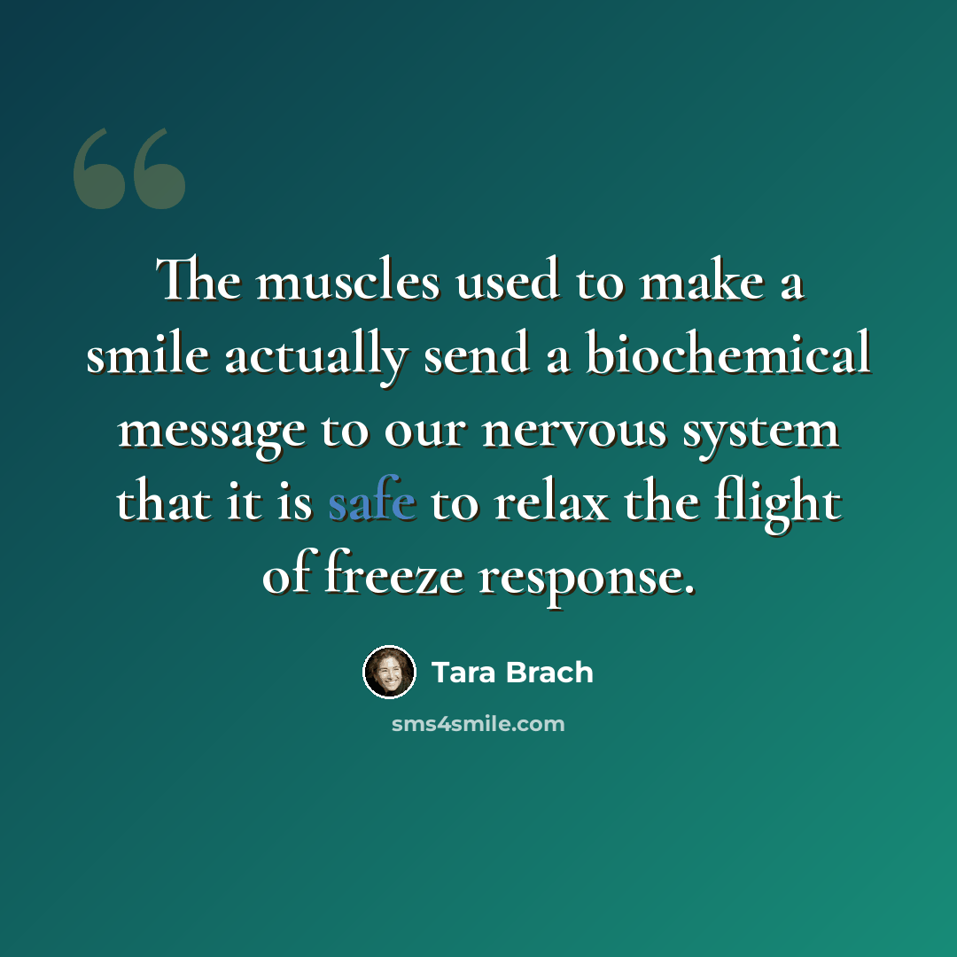 “The muscles used to make a smile actually send a biochemical message to our nervous system that it is safe to relax the flight of freeze response.” quote by Tara Brach