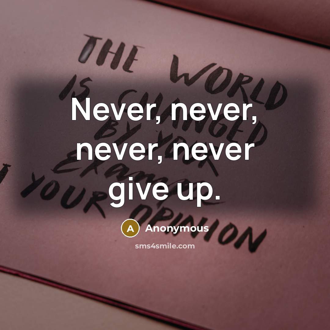 “Never, never, never, never give up.” quote by Anonymous