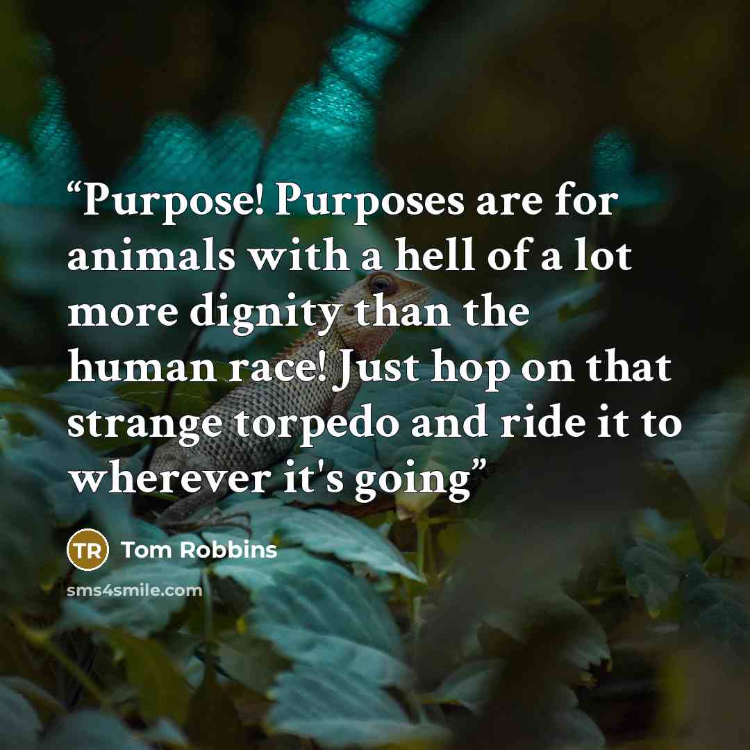 “Purpose! Purposes are for animals with a hell of a lot more dignity than the human race! Just hop on that strange torpedo and ride it to wherever it's going” quote by Tom Robbins