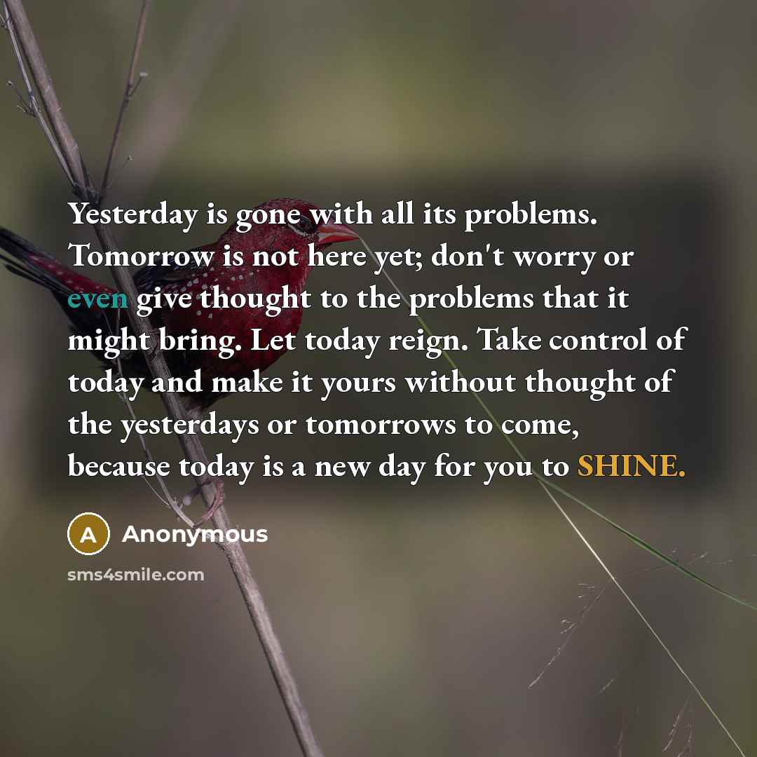 “Yesterday is gone with all its problems. Tomorrow is not here yet; don't worry or even give thought to the problems that it might bring. Let today reign. Take control of today and make it yours without thought of the yesterdays or tomorrows to come, because today is a new day for you to SHINE.” quote by Anonymous
