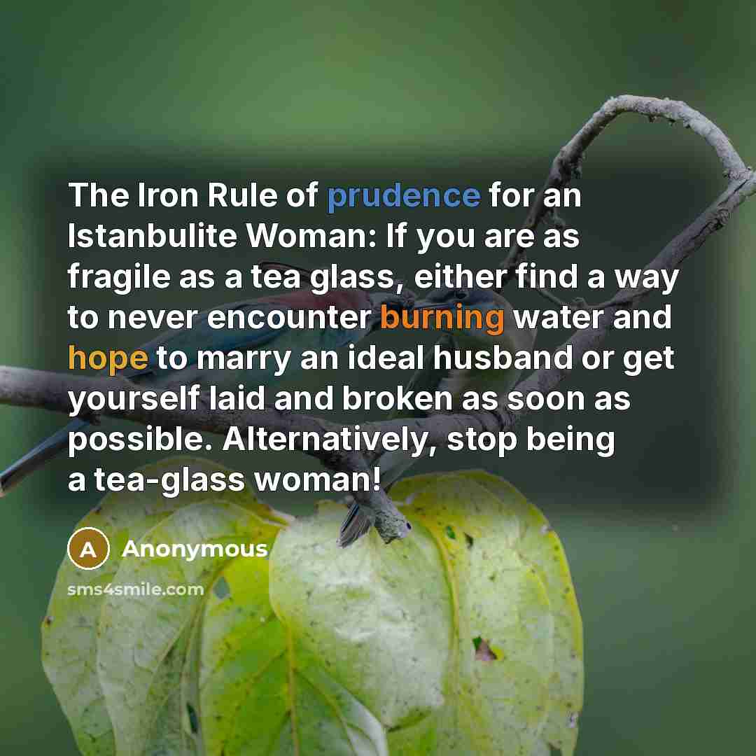 “The Iron Rule of prudence for an Istanbulite Woman: If you are as fragile as a tea glass, either find a way to never encounter burning water and hope to marry an ideal husband or get yourself laid and broken as soon as possible. Alternatively, stop being a tea-glass woman!” quote by Anonymous
