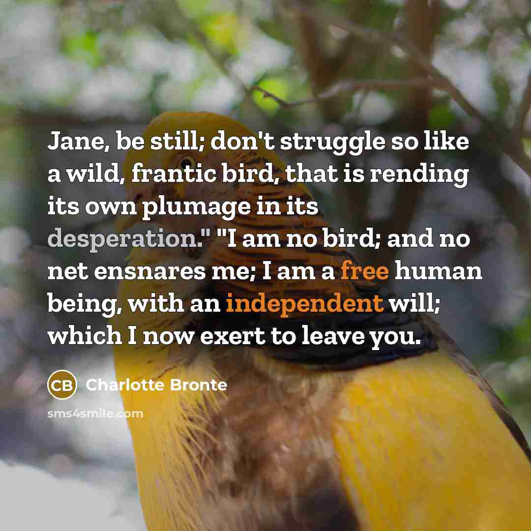“Jane, be still; don't struggle so like a wild, frantic bird, that is rending its own plumage in its desperation." "I am no bird; and no net ensnares me; I am a free human being, with an independent will; which I now exert to leave you.” quote by Charlotte Bronte