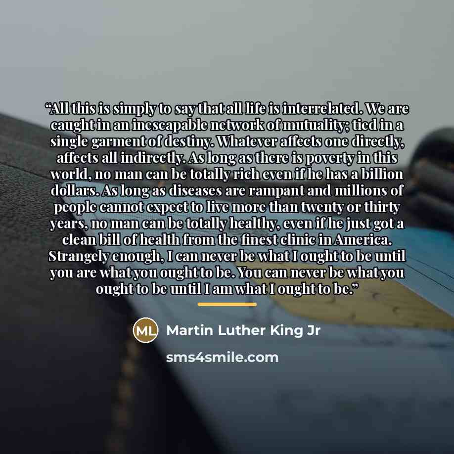 “All this is simply to say that all life is interrelated. We are caught in an inescapable network of mutuality; tied in a single garment of destiny. Whatever affects one directly, affects all indirectly. As long as there is poverty in this world, no man can be totally rich even if he has a billion…” quote by Martin Luther King Jr