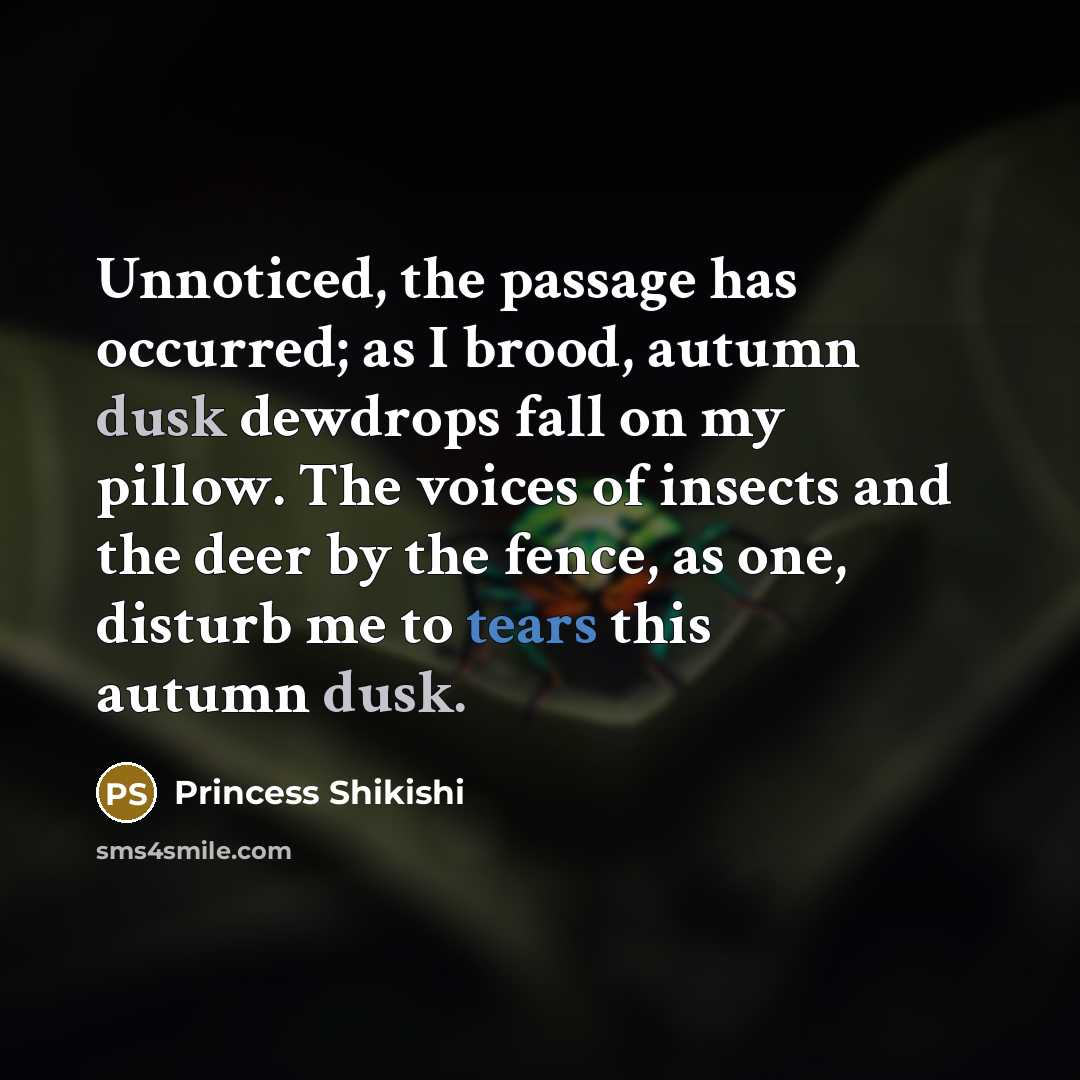“Unnoticed, the passage has occurred; as I brood, autumn dusk dewdrops fall on my pillow. The voices of insects and the deer by the fence, as one, disturb me to tears this autumn dusk.” quote by Princess Shikishi