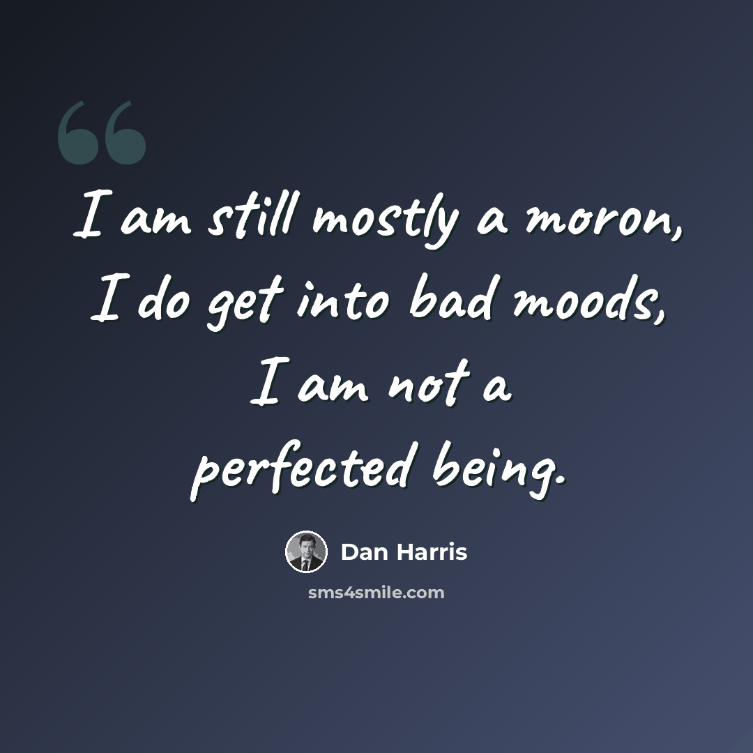 “I am still mostly a moron, I do get into bad moods, I am not a perfected being.” quote by Dan Harris