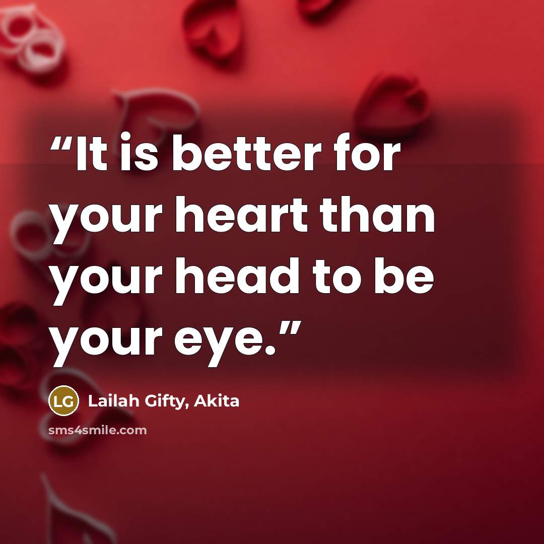 “It is better for your heart than your head to be your eye.” quote by Lailah Gifty, Akita