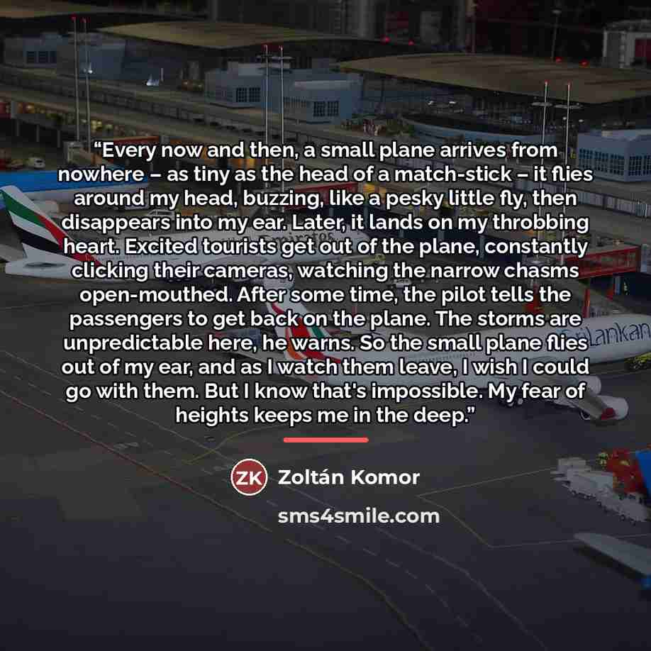 “Every now and then, a small plane arrives from nowhere – as tiny as the head of a match-stick – it flies around my head, buzzing, like a pesky little fly, then disappears into my ear. Later, it lands on my throbbing heart. Excited tourists get out of the plane, constantly clicking their cameras…” quote by Zoltán Komor