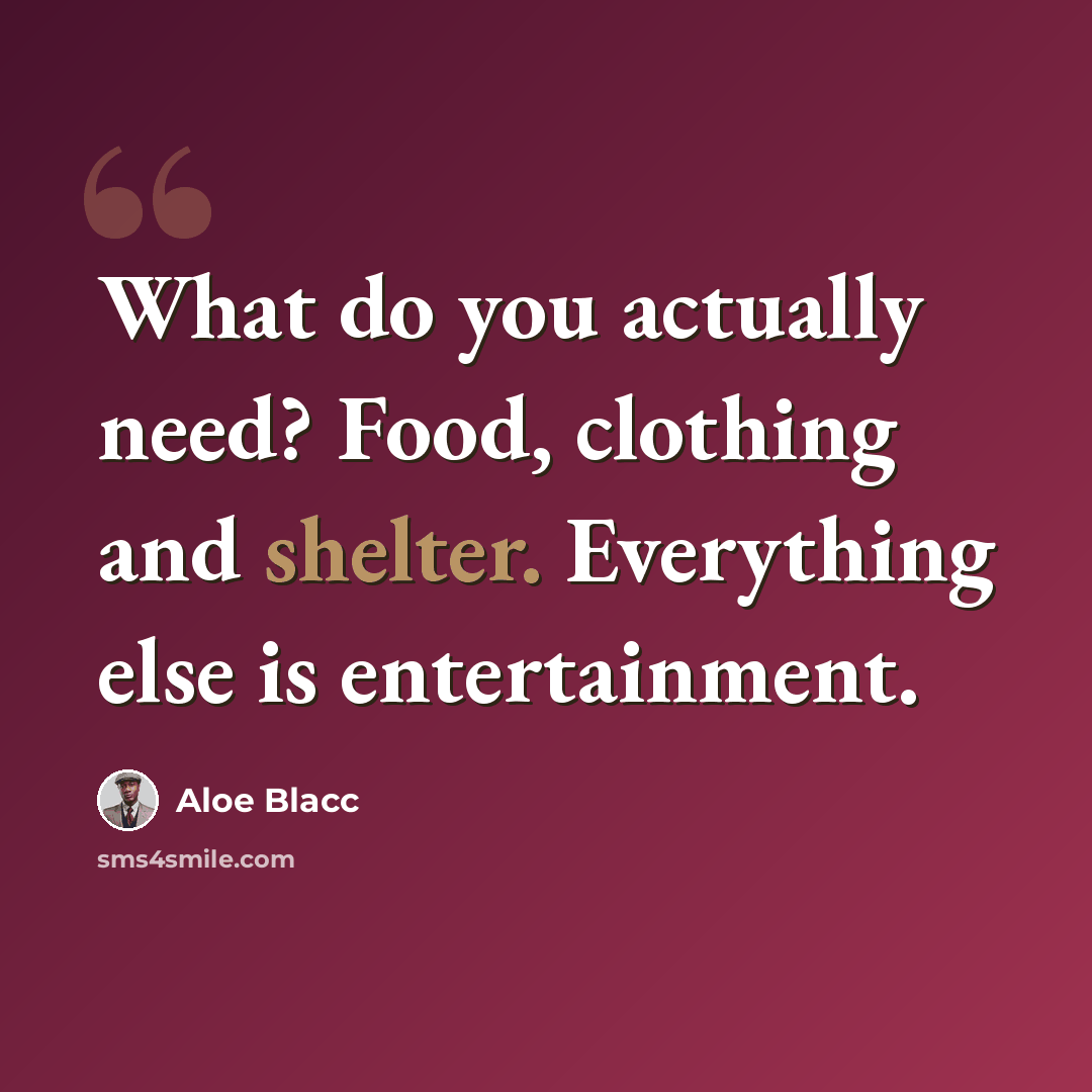 “What do you actually need? Food, clothing and shelter. Everything else is entertainment.” quote by Aloe Blacc
