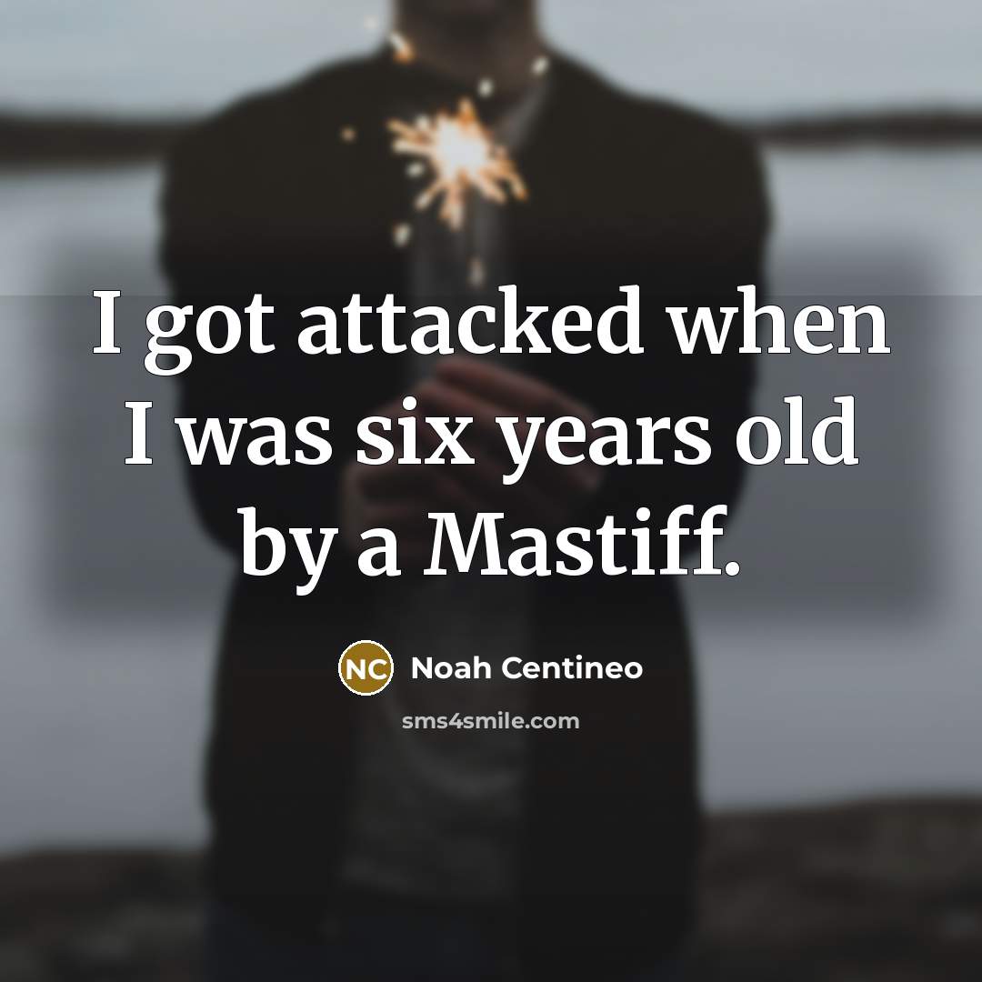 “I got attacked when I was six years old by a Mastiff.” quote by Noah Centineo