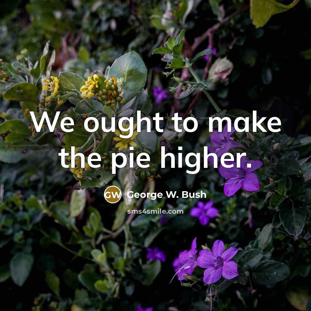 “We ought to make the pie higher.” quote by George W. Bush