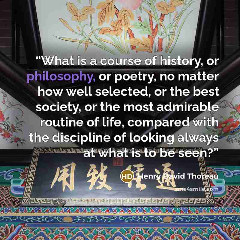 “What is a course of history, or philosophy, or poetry, no matter how well selected, or the best society, or the most admirable routine of life, compared with the discipline of looking always at what is to be seen?” quote by Henry David Thoreau