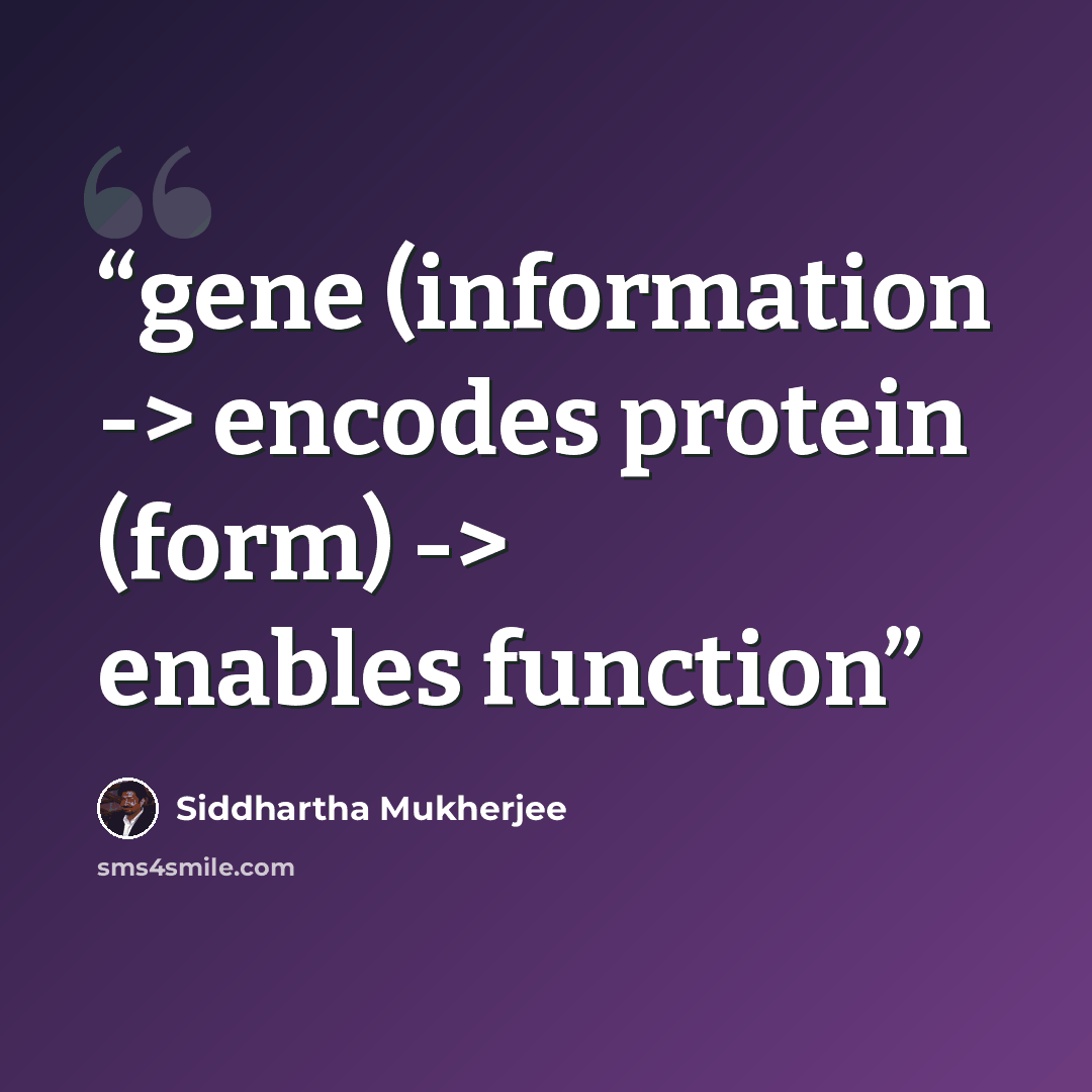 “gene (information -> encodes protein (form) -> enables function” quote by Siddhartha Mukherjee