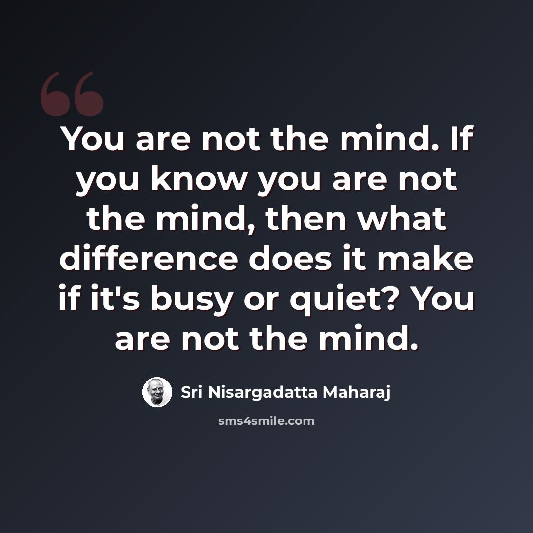 “You are not the mind. If you know you are not the mind, then what difference does it make if it's busy or quiet? You are not the mind.” quote by Sri Nisargadatta Maharaj