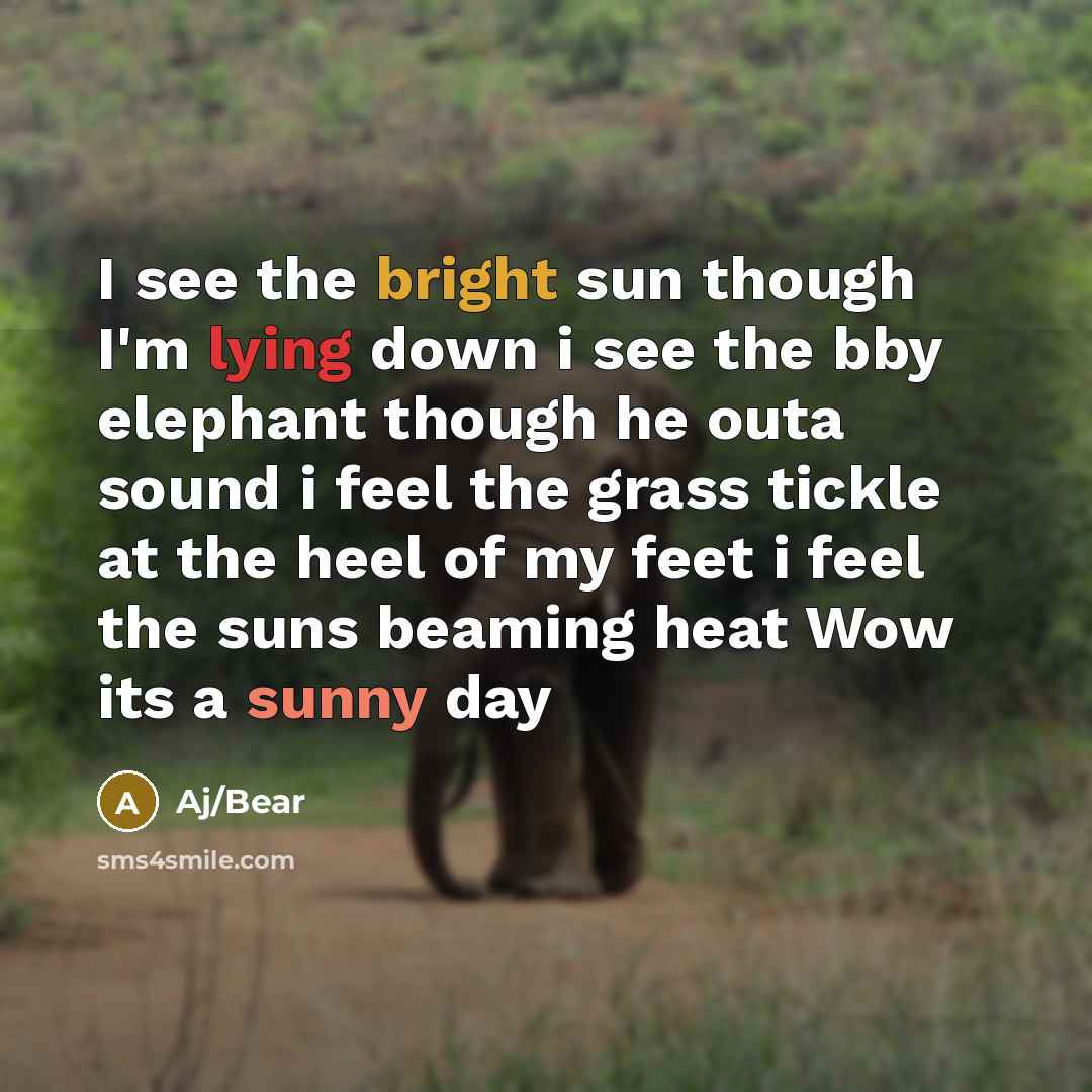 “I see the bright sun though I'm lying down i see the bby elephant though he outa sound i feel the grass tickle at the heel of my feet i feel the suns beaming heat Wow its a sunny day” quote by Aj/Bear