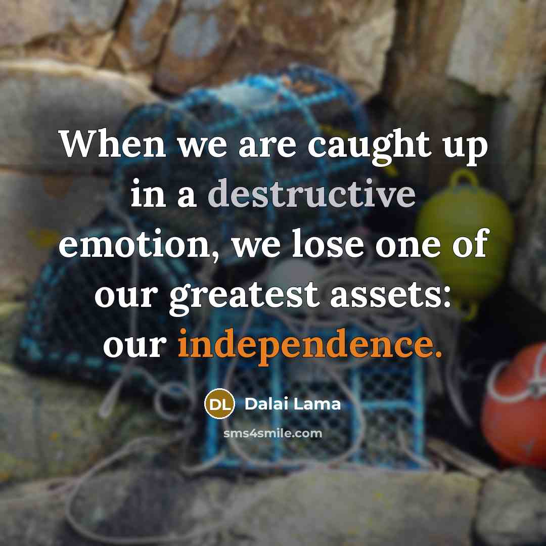 “When we are caught up in a destructive emotion, we lose one of our greatest assets: our independence.” quote by Dalai Lama