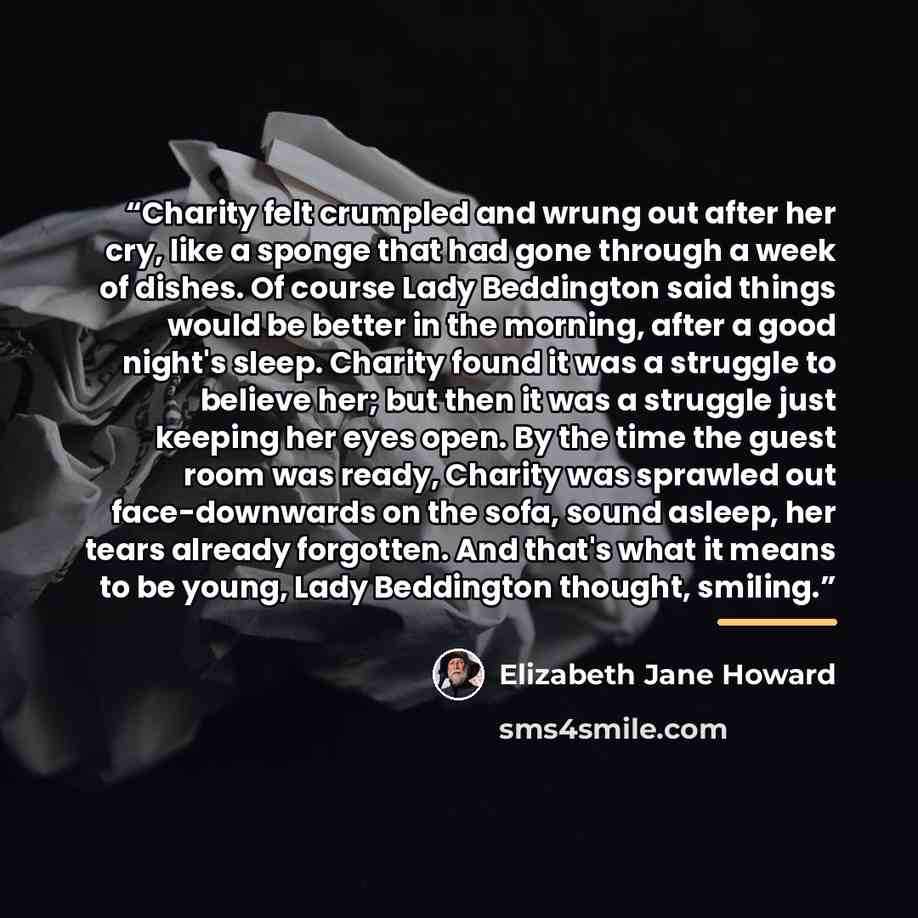 “Charity felt crumpled and wrung out after her cry, like a sponge that had gone through a week of dishes. Of course Lady Beddington said things would be better in the morning, after a good night's sleep. Charity found it was a struggle to believe her; but then it was a struggle just keeping her…” quote by Elizabeth Jane Howard