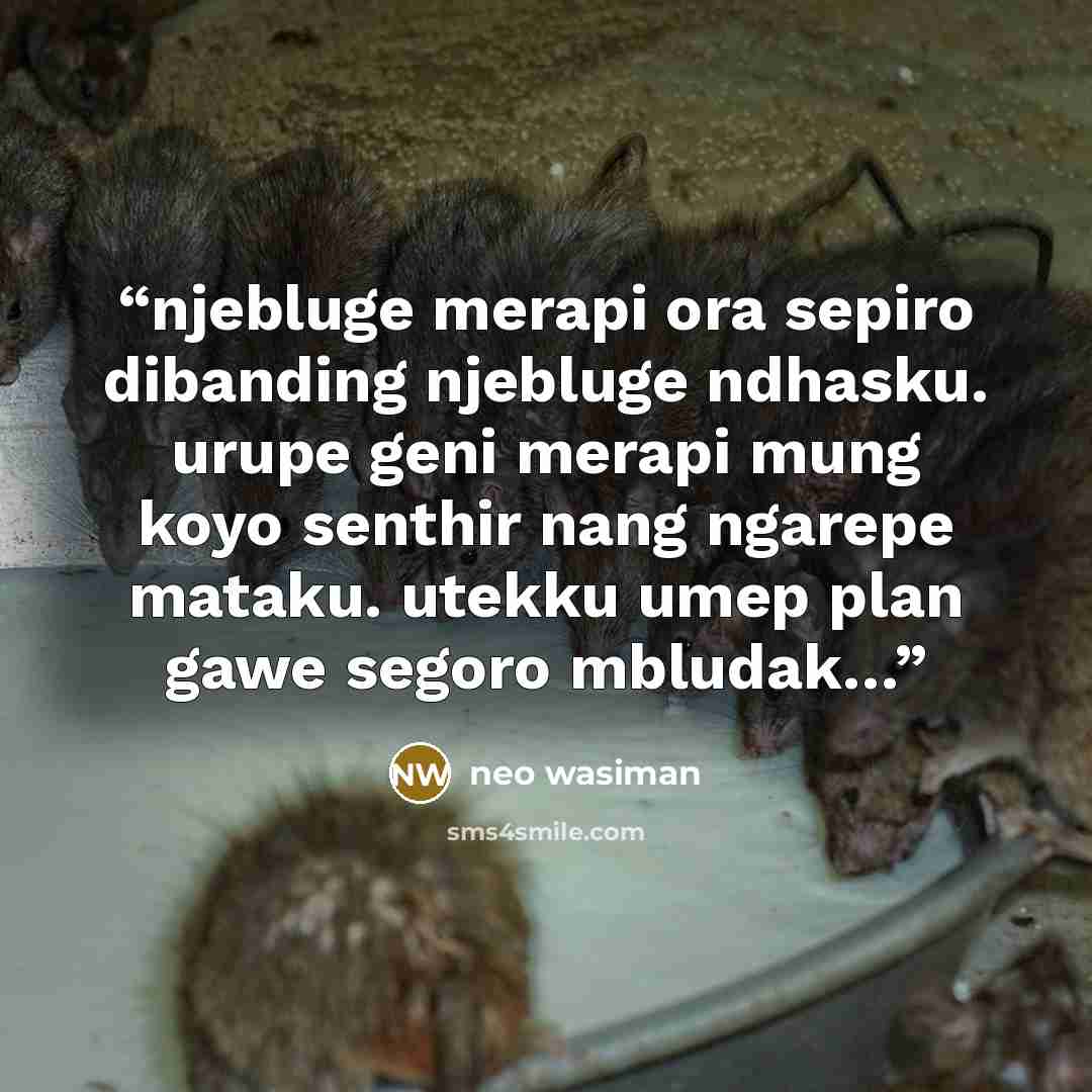 “njebluge merapi ora sepiro dibanding njebluge ndhasku. urupe geni merapi mung koyo senthir nang ngarepe mataku. utekku umep plan gawe segoro mbludak…” quote by neo wasiman