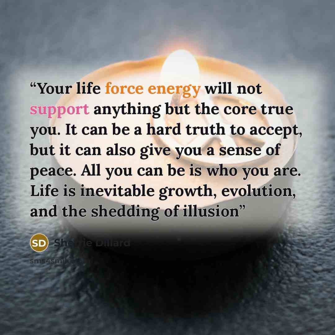 “Your life force energy will not support anything but the core true you. It can be a hard truth to accept, but it can also give you a sense of peace. All you can be is who you are. Life is inevitable growth, evolution, and the shedding of illusion” quote by Sherrie Dillard