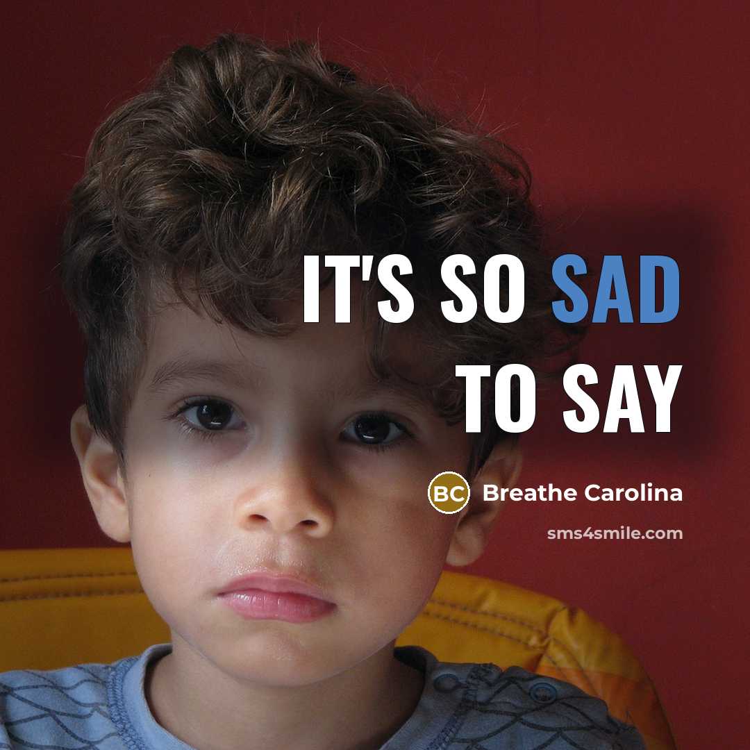 “It's so sad to say” quote by Breathe Carolina