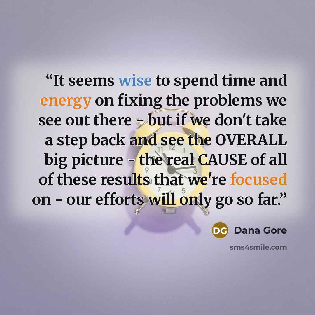 “It seems wise to spend time and energy on fixing the problems we see out there - but if we don't take a step back and see the OVERALL big picture - the real CAUSE of all of these results that we're focused on - our efforts will only go so far.” quote by Dana Gore