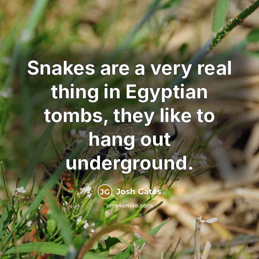 “Snakes are a very real thing in Egyptian tombs, they like to hang out underground.” quote by Josh Gates