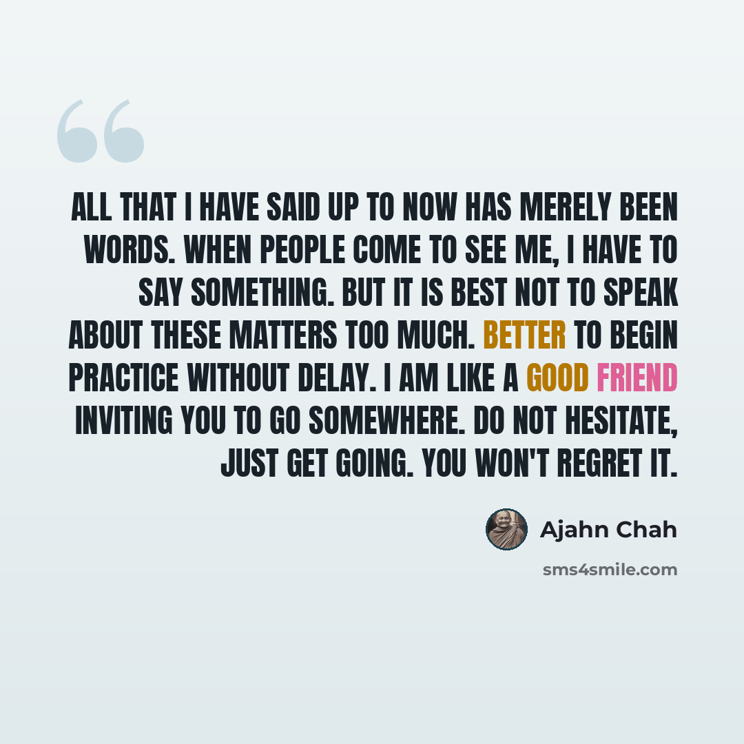 “All that I have said up to now has merely been words. When people come to see me, I have to say something. But it is best not to speak about these matters too much. Better to begin practice without delay. I am like a good friend inviting you to go somewhere. Do not hesitate, just get going. You…” quote by Ajahn Chah