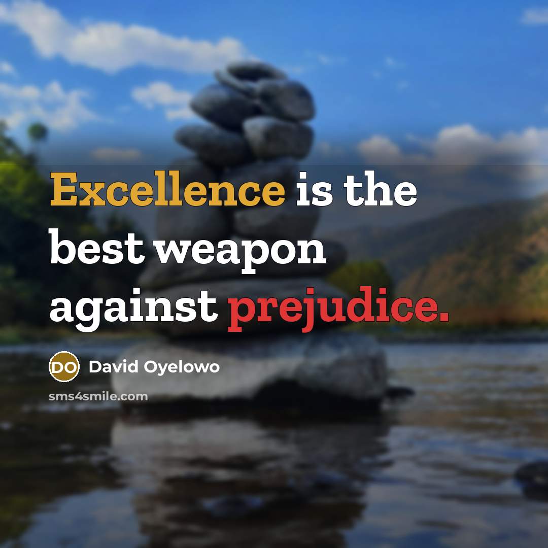 “Excellence is the best weapon against prejudice.” quote by David Oyelowo