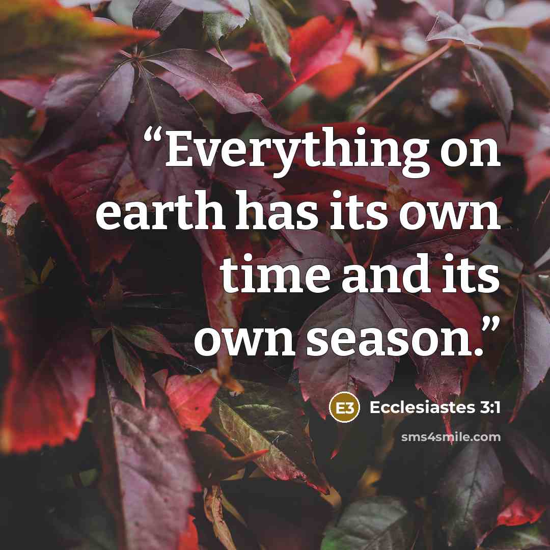“Everything on earth has its own time and its own season.” quote by Ecclesiastes 3:1