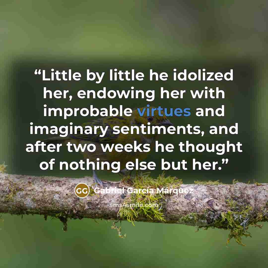 “Little by little he idolized her, endowing her with improbable virtues and imaginary sentiments, and after two weeks he thought of nothing else but her.” quote by Gabriel García Márquez