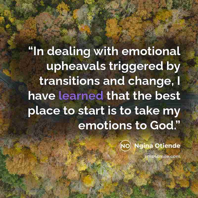 “In dealing with emotional upheavals triggered by transitions and change, I have learned that the best place to start is to take my emotions to God.” quote by Ngina Otiende