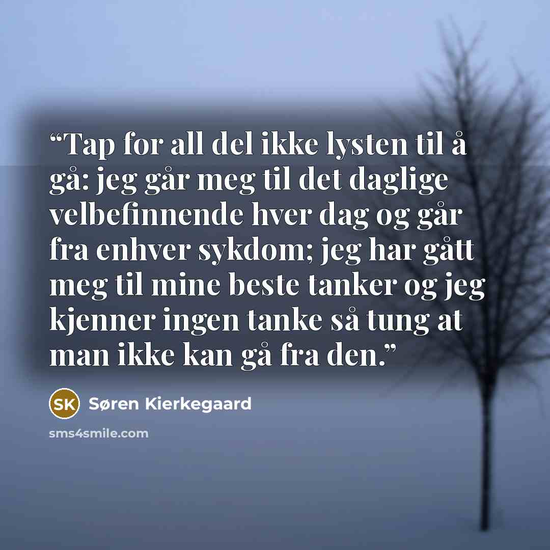 “Tap for all del ikke lysten til å gå: jeg går meg til det daglige velbefinnende hver dag og går fra enhver sykdom; jeg har gått meg til mine beste tanker og jeg kjenner ingen tanke så tung at man ikke kan gå fra den.” quote by Søren Kierkegaard