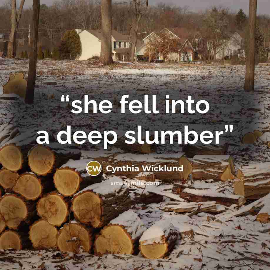 “she fell into a deep slumber” quote by Cynthia Wicklund