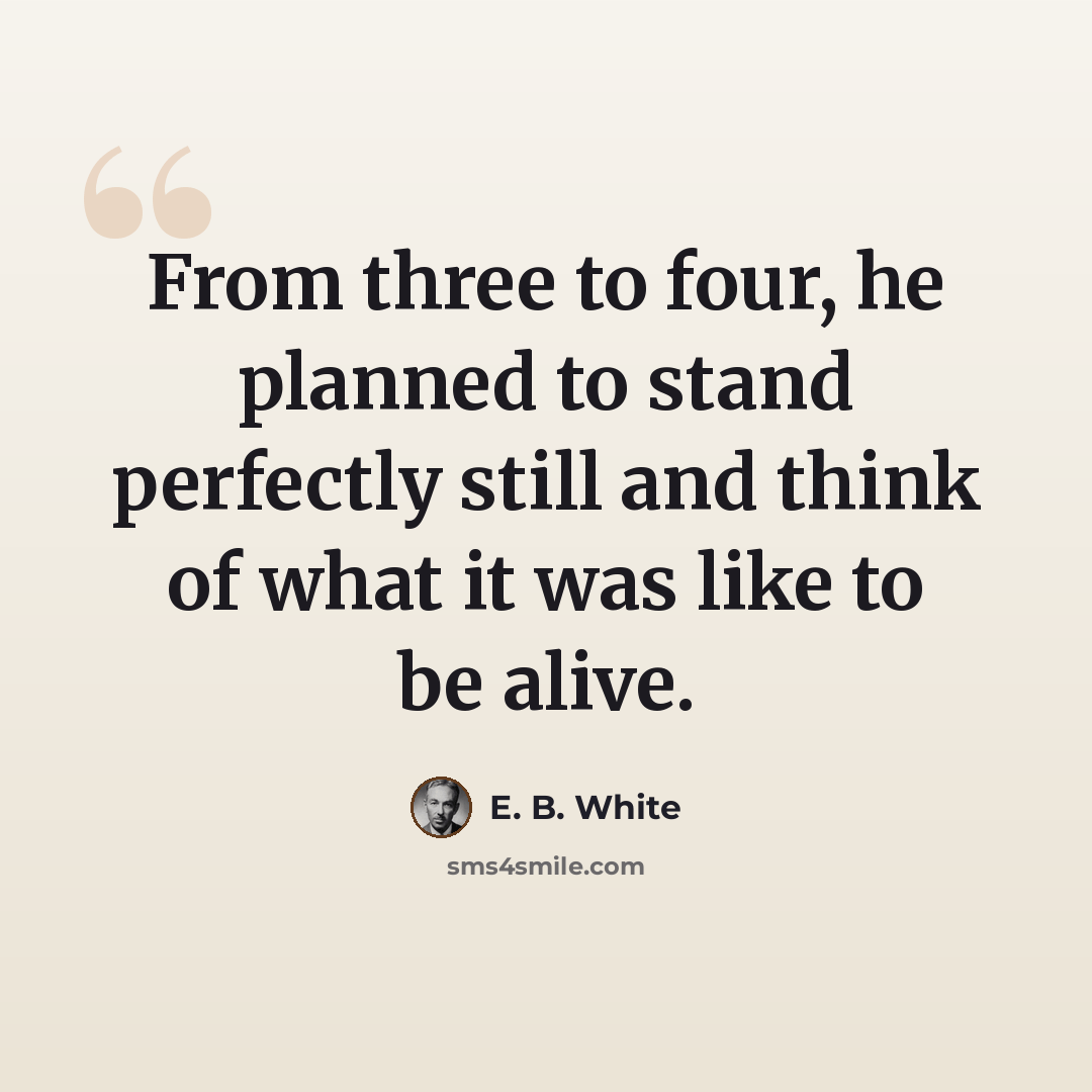 “From three to four, he planned to stand perfectly still and think of what it was like to be alive.” quote by E. B. White