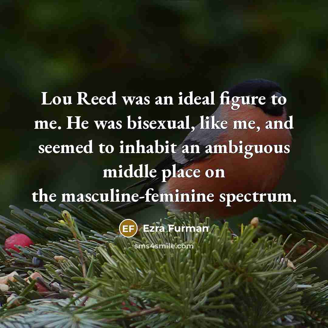 “Lou Reed was an ideal figure to me. He was bisexual, like me, and seemed to inhabit an ambiguous middle place on the masculine-feminine spectrum.” quote by Ezra Furman